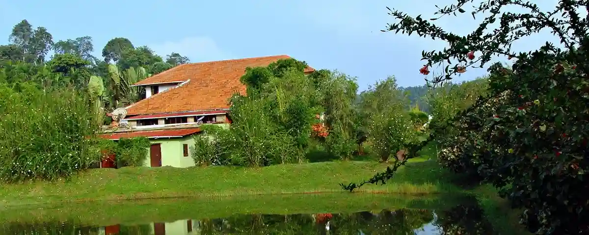 India's Tigers and Nature Trail